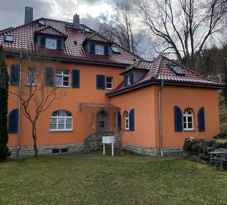 Gemütliche kleine Singlewohnung in einer stilvoll sanierten Villa