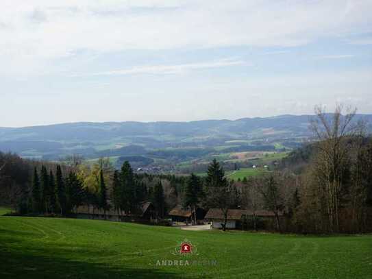 *Nähe St. Englmar* Landsitz mit ca. 13.000 m² Grd. in Alleinlage mit Bauernhaus und Wohnnebengebäude