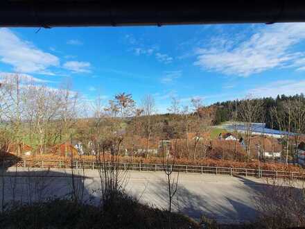 Altes Bauernhaus mit Stall, Scheune, Speicher, Werkstatt und ausgebautem Studio mit Fernblick!