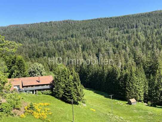 Großes* Bauernhaus* auf 2,5 ha Grundstück in Traumlage/ Schwarzwald