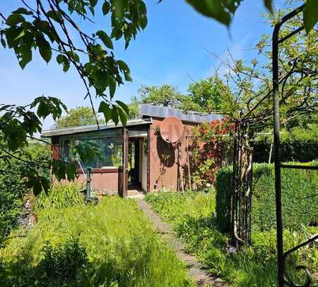 Garten in Schwaikheim – Ihr Rückzugsort nahe Stuttgart!