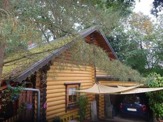 Komfortables Holzhaus im Grünen auf großem Waldgrundstück