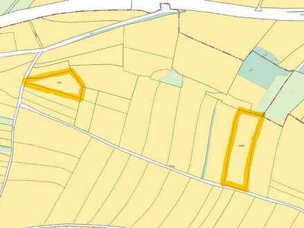 Landwirtschaftliche Flächen bei Floß - verpachtet