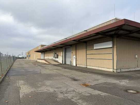 große moderne Produktions- /Lagerhalle im Gewerbegebiet Heilbronn-Böckingen, nördlich der B293