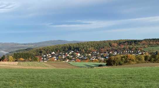 Naturnahe Stadt-Villa – neuwertig und energieeffizient