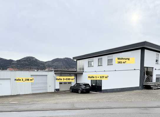 Wohn- & Gewerbeimmobilie mit 3 Hallen und 2.096 m² Grundstück in Balingen-Frommern