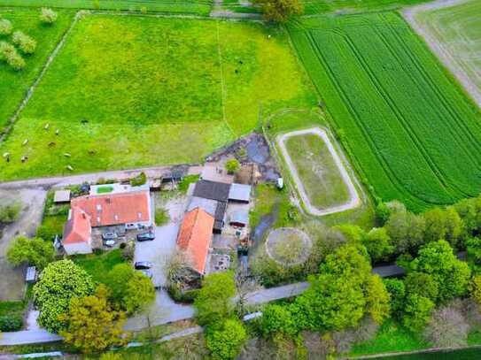 Neu in Steinhagen: Mehrgenerationen-/familienhaus mit Großgrundbesitz sucht Tierliebhaber