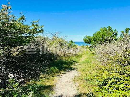 Naturschatz an der Ostsee: Geschütztes Biotop als Investitionsjuwel?