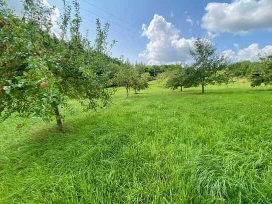 Tolles Freizeitgrundstück - Ihr persönliches Naturparadies!