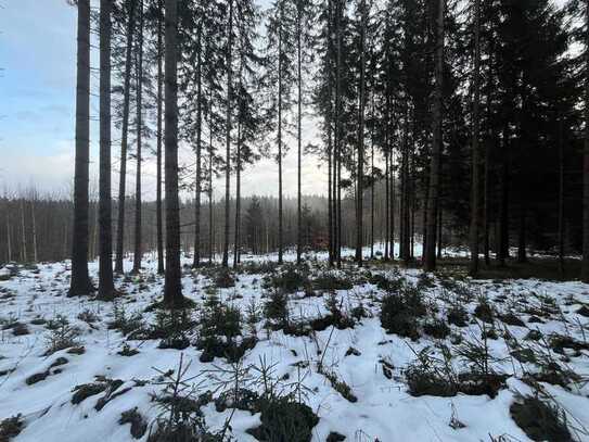 WALDERLEBNIS!!! Waldgrundstück Nähe Lengenwang