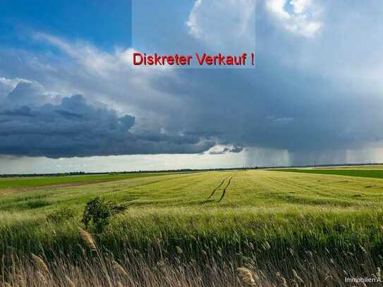 Große, zusammenhängende landwirtschaftliche Fläche in Donauwörth- Berg