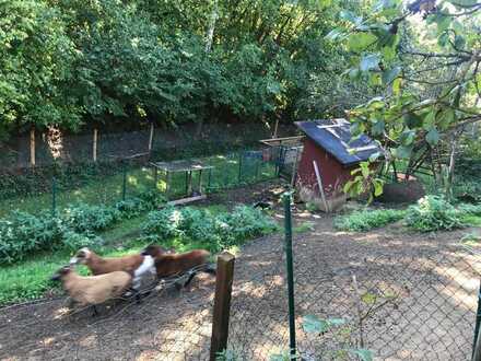 Obstwiesen und Wiesengrundstück, sehr ruhige Lage, im Grünen, unverbaubar