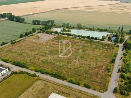 "BAUMÜLLER AG" - A5/A67 in unmittelbarer Nähe - ca. 3.000 m² unbebautes Gewerbegrundstück