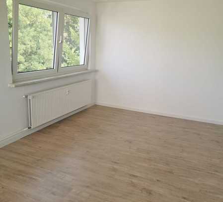 5% Rendite Frisch renovierte 3 Zimmer Wohnung in beliebter Lage - Provisionsfrei!