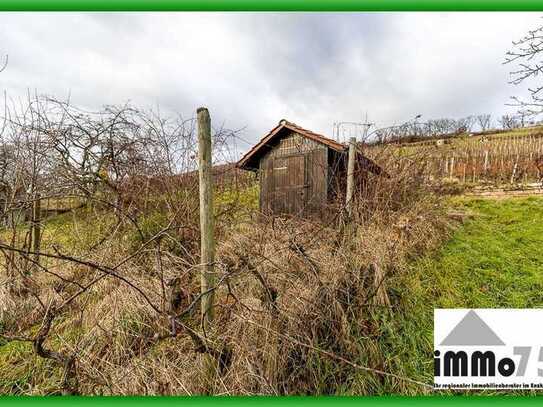 🍇🍷 Traumhafter Weinberg & Wiese mit Wingerterhäusle bei Lienzingen 🌿🏡 Zum Schmuddelwetterpreis!