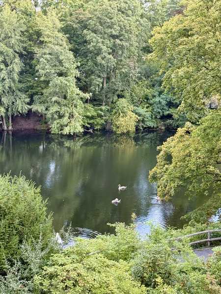 Blick auf Hubertus-See Grunewald mit Garten