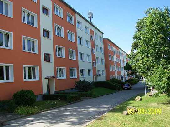 Ideal für Familien!