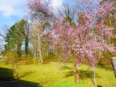 Stylisches EFH in Waldrandlage