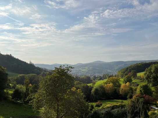 Wunderschöne 2-Zimmer Wohnung mit Einbauküche, Tageslichtbad und herrlichem Ausblick