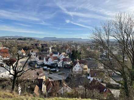 Baugrundstück in Hanglage mit Abrisshaus in Nürtingen