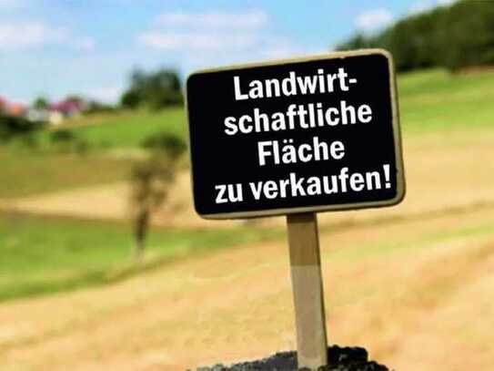 Landwirtschaftliche Fläche in Pfeddersheim