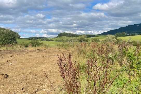 Großzügiges Baugrundstück in hervorragender Lage; 
Nähe Rottweil