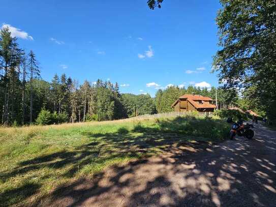 Feriengrundstück/Wochenendgrundstück für bis zu drei Ferienhäuser in Traumlage am Waldrand