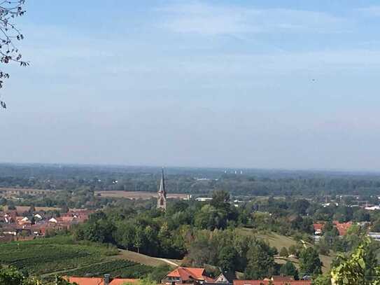 Traumgrundstück in Baden-Baden: Einmalige Gelegenheit