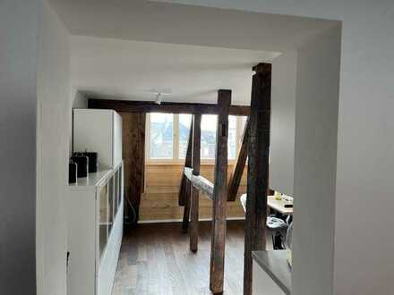 Neuwertige Wohnung mit zwei Zimmern und EBK in Metzingen