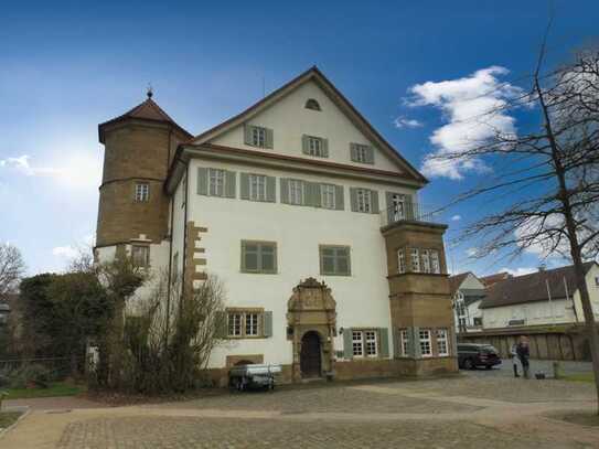 WERDEN SIE SCHLOSS-MIETER !
- WOHNEN & ARBEITEN -