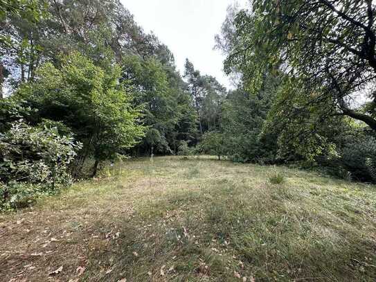 Großzügiges Grundstück in Wandlitz-Basdorf für Ihr Traumhaus in idyllischer Lage