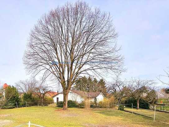 Baugrundstück ländlich ca. 700 m²