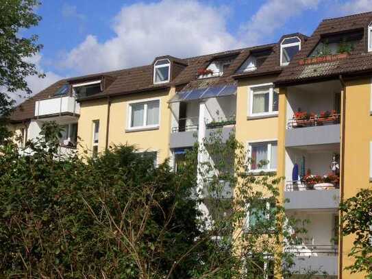 Süsses kleines Appartement mit Süd-Dachterrasse