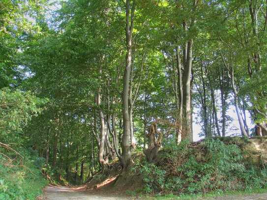 NRW 58540 - Gewerbe - Grundstück + Bauernhof - Mehrfamilienhaus