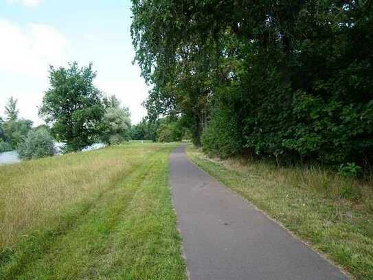 Großes Baugrundstück in Könnern