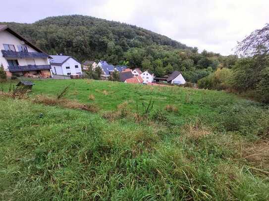 Großes Grundstück zu verkaufen in Schweigen Rechtenbach