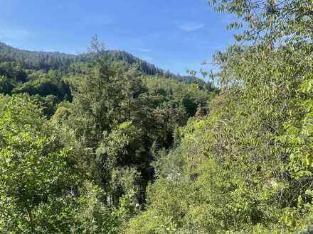 Sonniges Hanggrundstück in Frankeneck