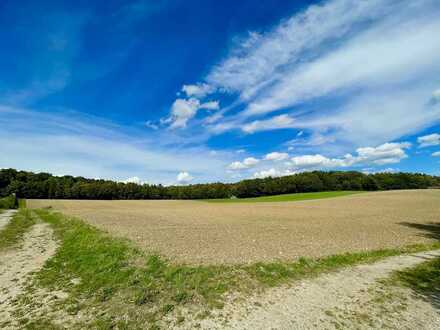 2 schöne landwirtschaftlichen Flächen in guter Lage