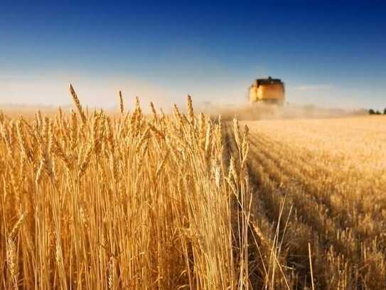 Landwirtschaftliche Nutzfläche in Stadtlohn