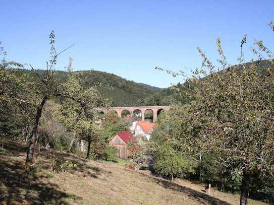 Sonniges Baugrundstück mit Wiese in Eberbach-Friedrichsdorf