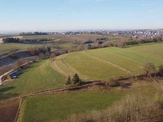 Erwerb auch für Nicht-Landwirte möglich! Landwirtschafltiches Grünland in Rammingen