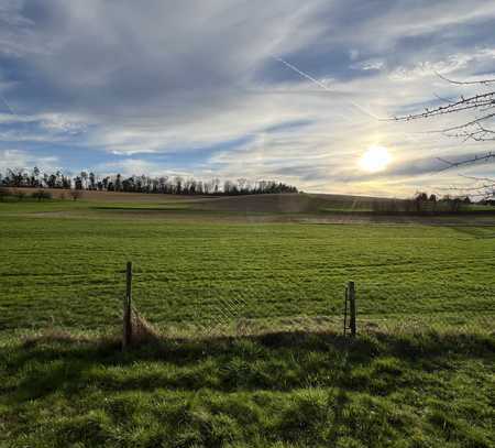 Geräumige, renovierte 6-Raum-Wohnung in Mosbach-Sattelbach