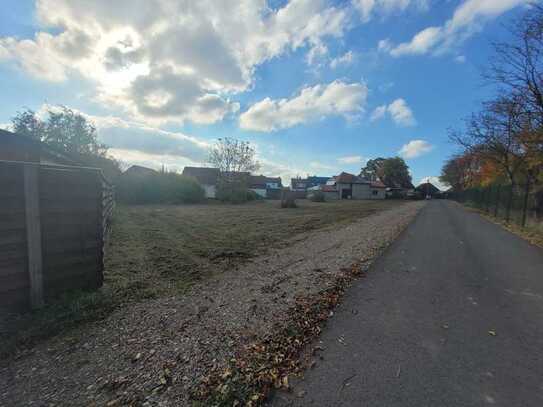 Baugrundstück in Bindersleben - Ulmenweg