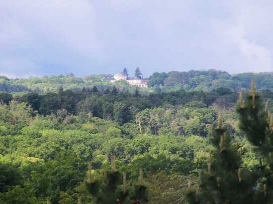 Großzügige Eigentumswohnung mit Blick zum Schloss Solitude