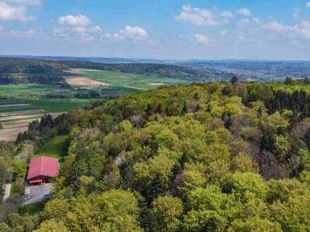 SOMMER-AUKTION 2023: Forstfläche in Simmozheim Landkries Calw