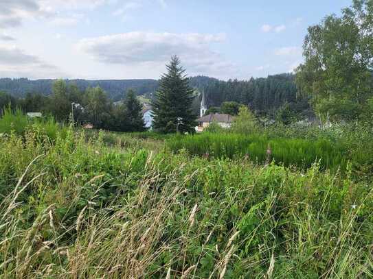 Bauland in idyllischer grüner Gegend-Wohnen wo andere Urlaub machen!