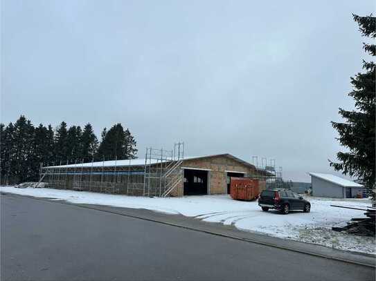 Lagerhalle / Gewerbe mit viel Aussenfläche