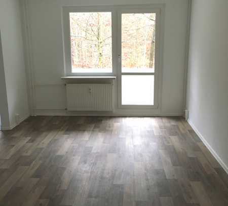 Frisch renovierte 3-Raum-Wohnung mit Blick in den Wald und Umzugsbonus!