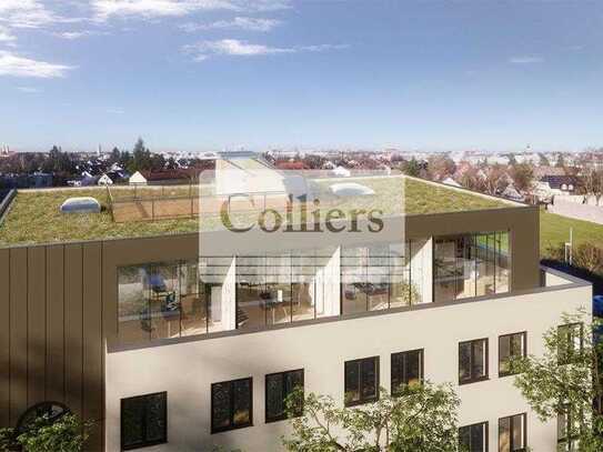 Coole Loftfläche mit exklusiver Dachterrasse und atemberaubendem 360° Weitblick - COLLIERS