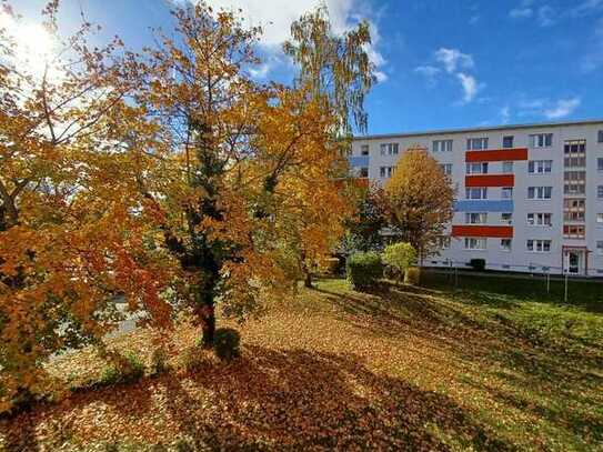 Schick sanierte Wohnung